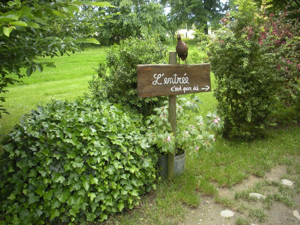 Bed and Breakfast Ferme Saint Joseph Le Fousseret Zewnętrze zdjęcie